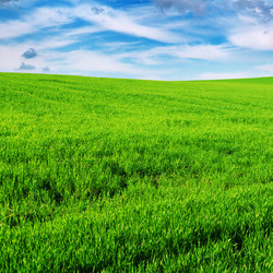 Similar image 971942