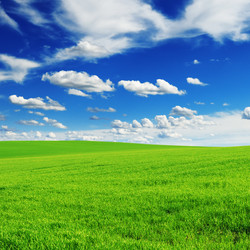 Similar image 971943