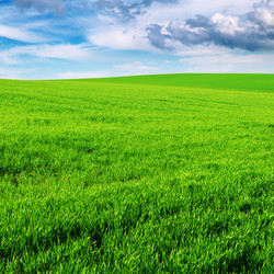 Similar image 971944