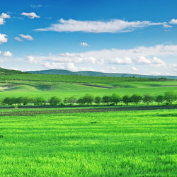 Similar image 971946