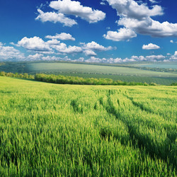 Similar image 971947