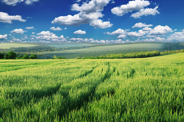 Similar image 971948