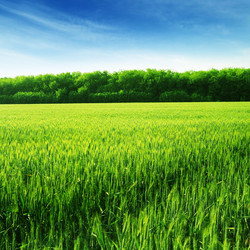 Similar image 971949