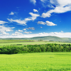 Similar image 971951