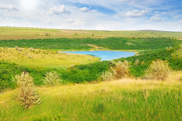 Similar image 971955