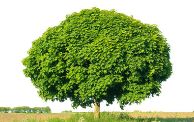 Similar image 971966