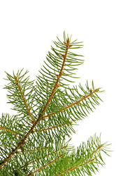 Similar image 971974