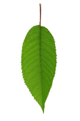 Similar image 971977