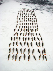 Similar image 972009