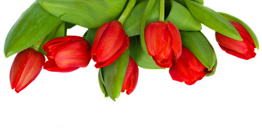 Similar image 972020