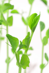 Similar image 972038