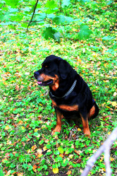 Similar image 972041