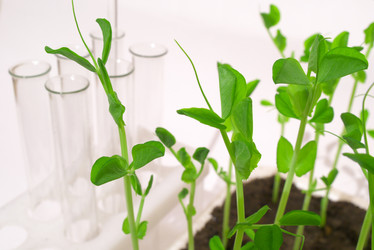 Similar image 972042