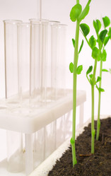 Similar image 972045