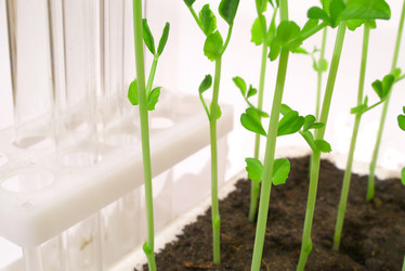 Similar image 972051