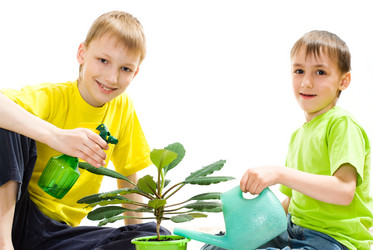 Similar image 972097