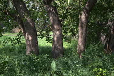 Similar image 972124