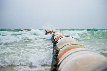 Similar image 972142