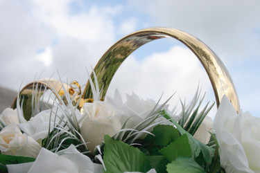 Similar image 972404