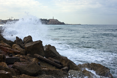 Similar image 972449