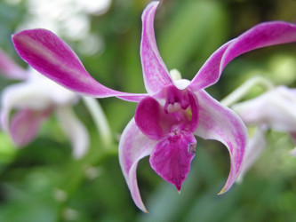 Similar image 972508