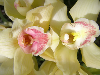 Similar image 972521