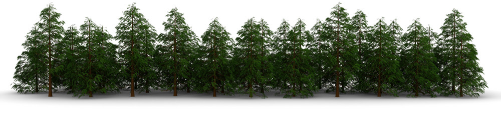 Similar image 972563