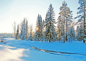 Similar image 972581