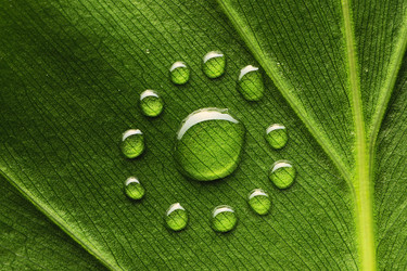 Similar image 972599