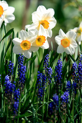 Similar image 972620