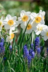 Similar image 972621