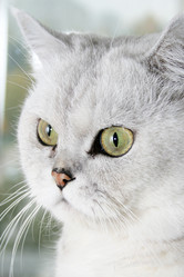 Similar image 972641