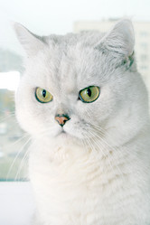 Similar image 972642