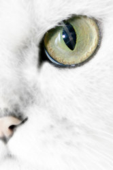 Similar image 972645