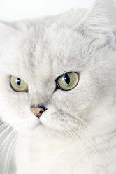 Similar image 972647