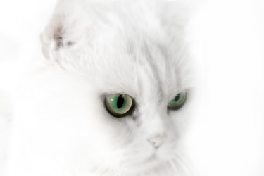 Similar image 972648