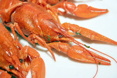 Similar image 972654