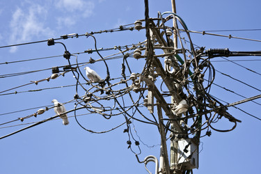 Similar image 972673