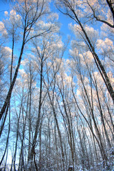 Similar image 972679