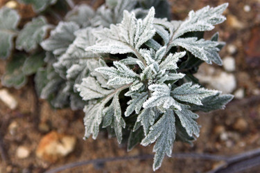 Similar image 972684