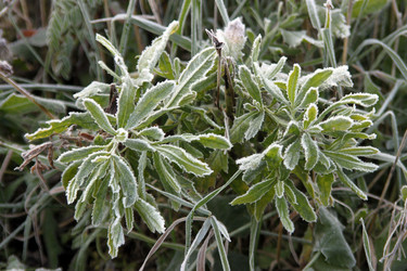 Similar image 972685