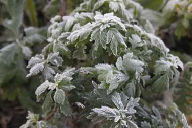 Similar image 972686