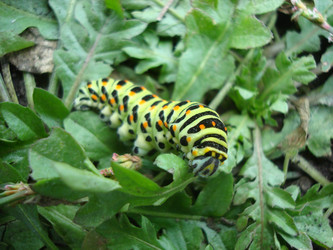 Similar image 972690