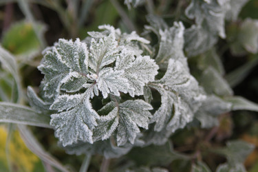 Similar image 972692