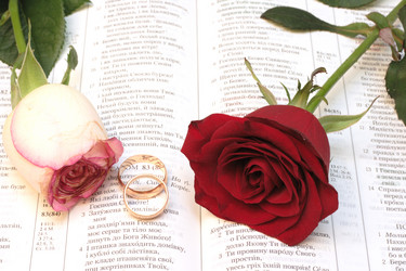 Similar image 972778