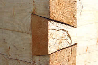 Similar image 972786