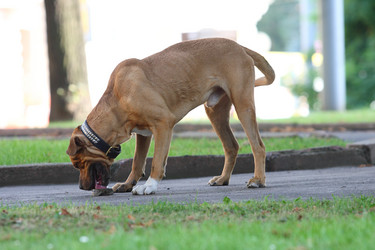 Similar image 972820