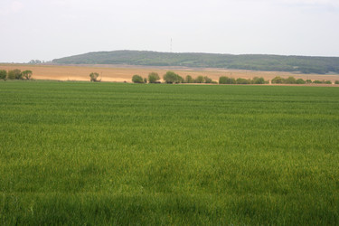 Similar image 972821