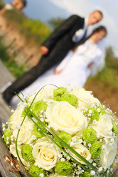 Similar image 972822