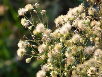 Similar image 972831